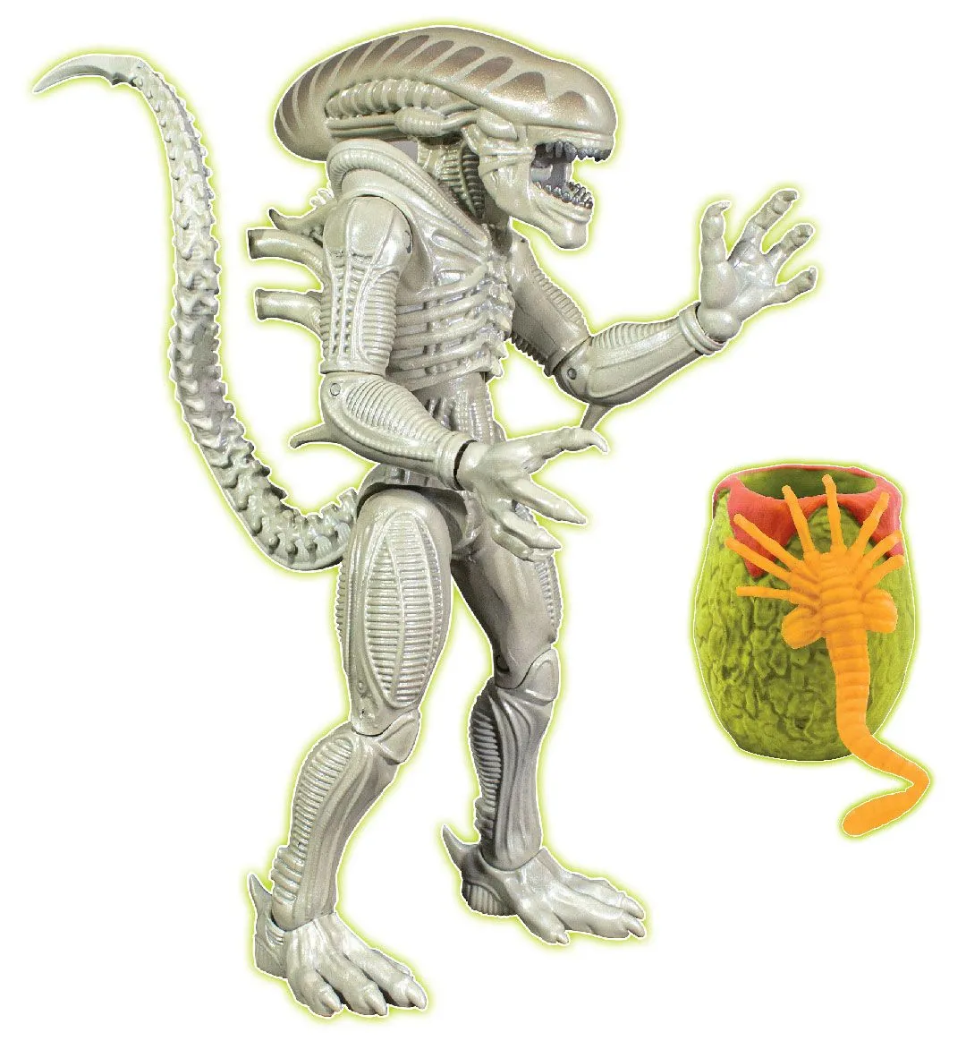 Alien Collection 7 Inch(17cm) Xenomorph Poseable Alien Drone Xeno