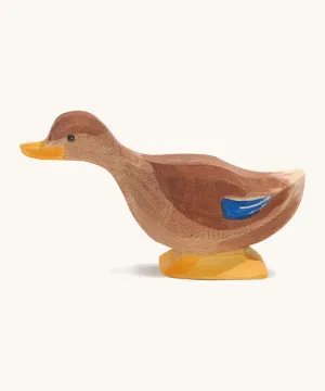 Ostheimer Long Neck Duck