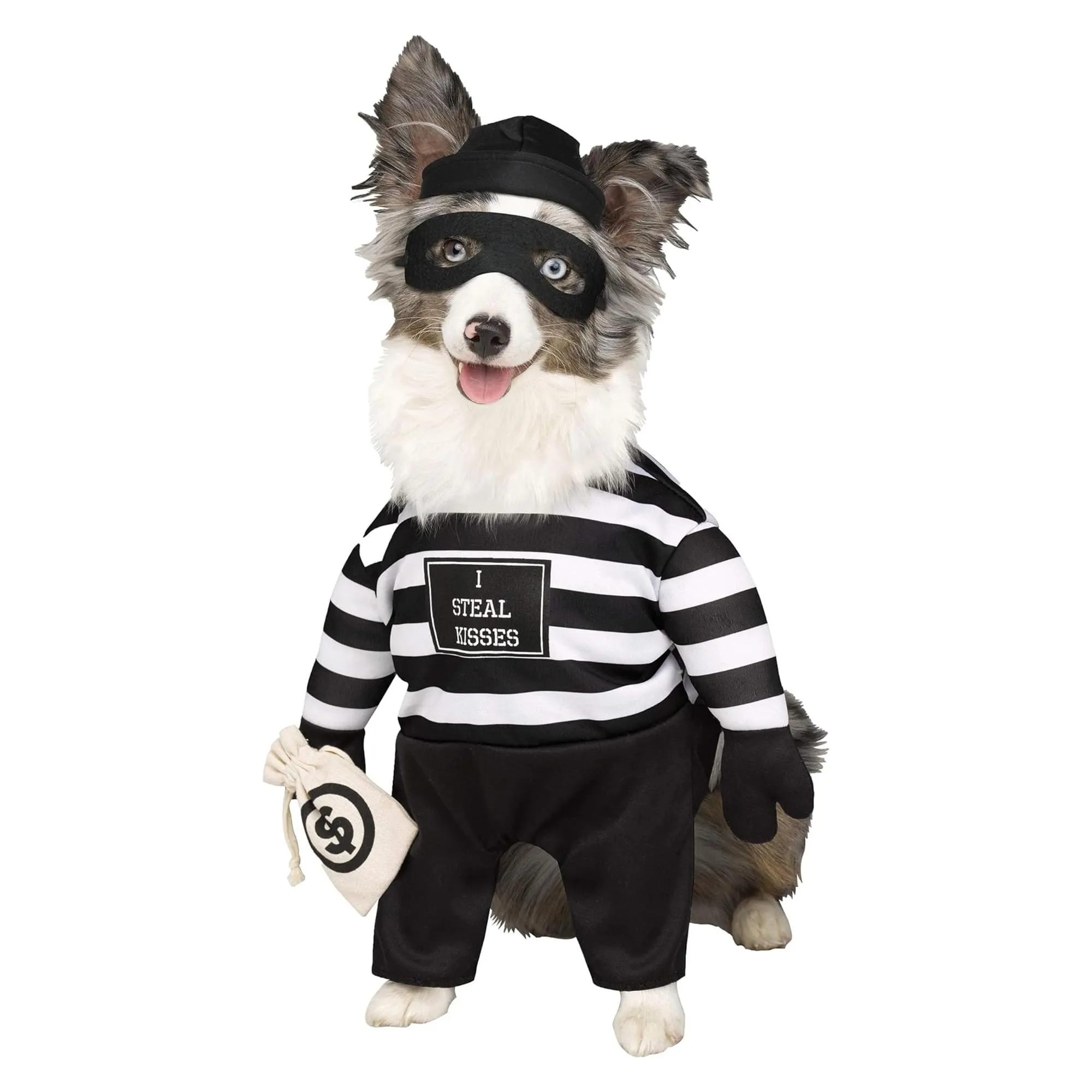 Robber Pup Pet Costume