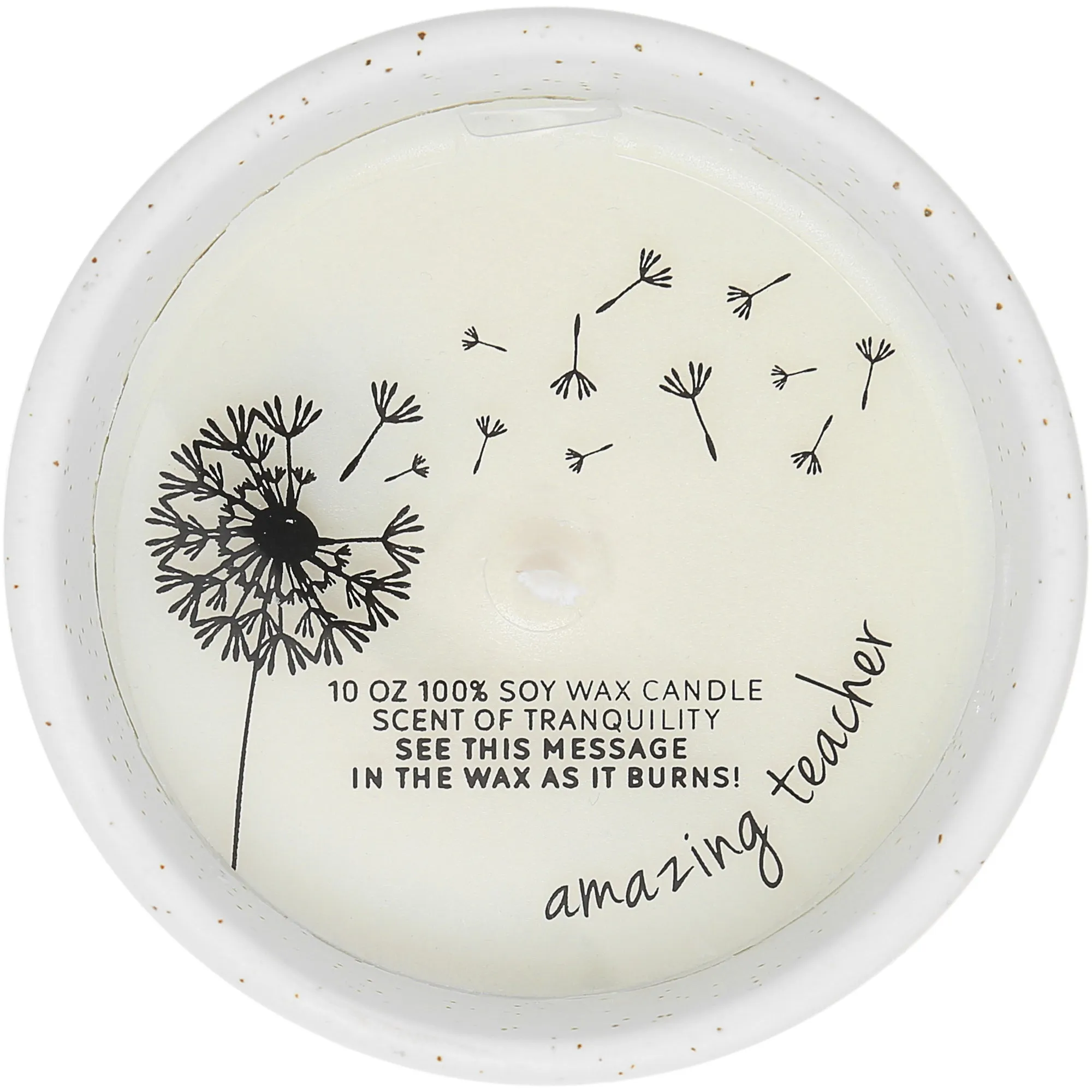 Teacher Like You 10 oz - 100% Soy Wax Reveal Candle Scent: Tranquility