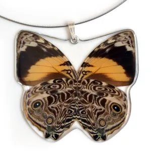 Whole Butterfly Pendant Only, SS bail, Bromfild's Beauty Butterfly,